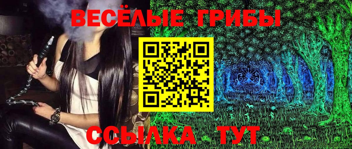 Псилоцибиновые грибы GOLDEN TEACHER Щёлково