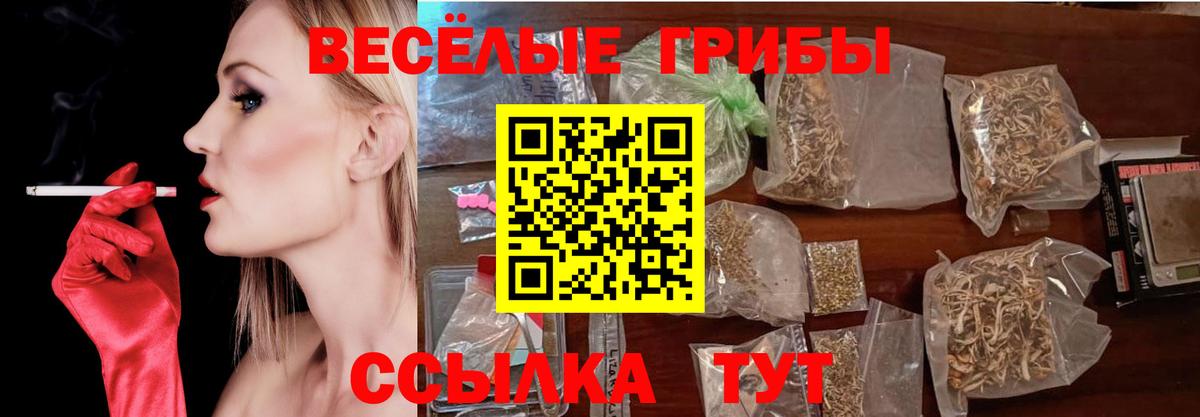 Щёлково  Псилоцибиновые грибы Psilocybine cubensis  Вход с VPN  Псилоцибиновые грибы MAGIC MUSHROOMS 